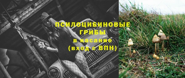 spice Карпинск