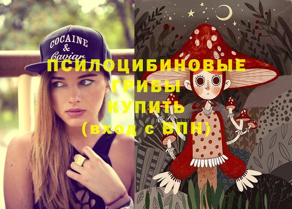 spice Карпинск